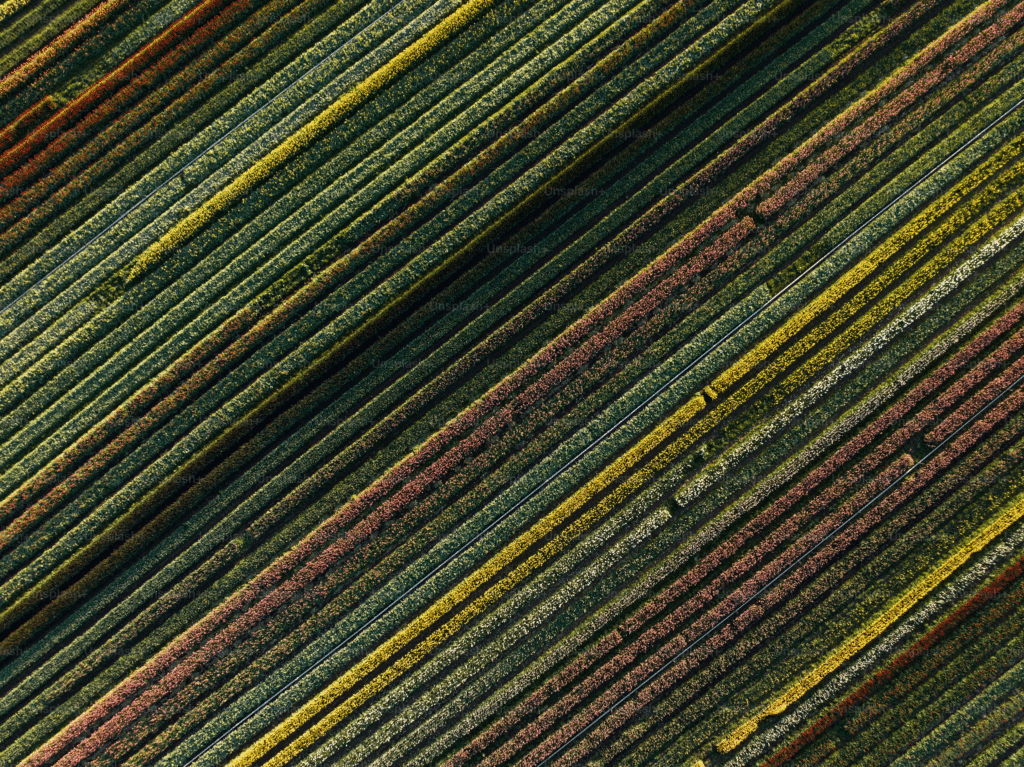 Bunte Streifen aus Papier in verschiedenen Farben und Texturen, die diagonal angeordnet sind.