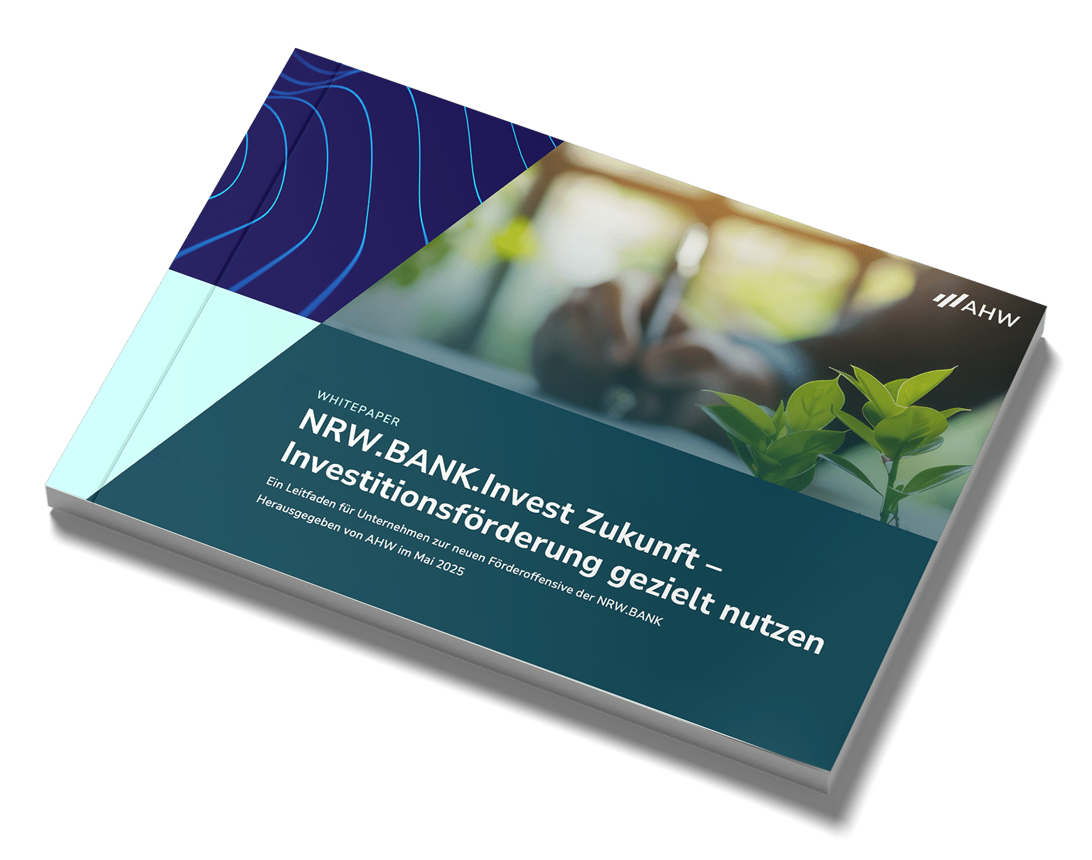 Cover des Whitepapers NRW.BANK Invest Zukunft mit Pflanzenmotiv und grafischen Elementen.